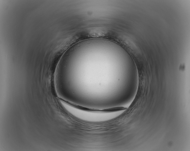 X0000090960315200708161821