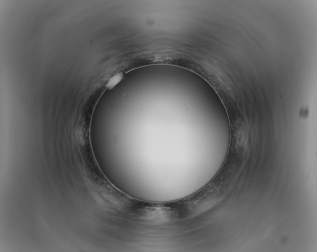 X0000090960316200708161821