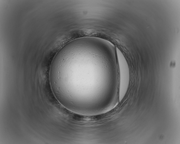 X0000090960319200708161821