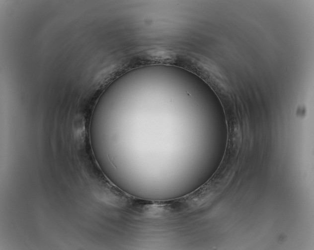 X0000090960320200708161821