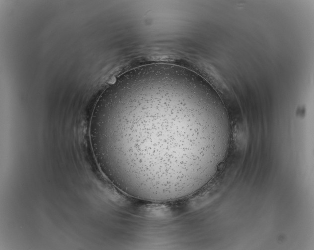 X0000090960322200708161821