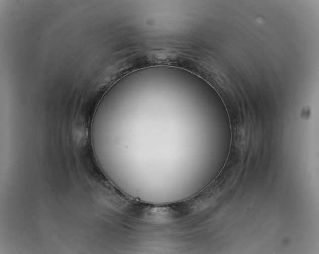 X0000090960324200708161821