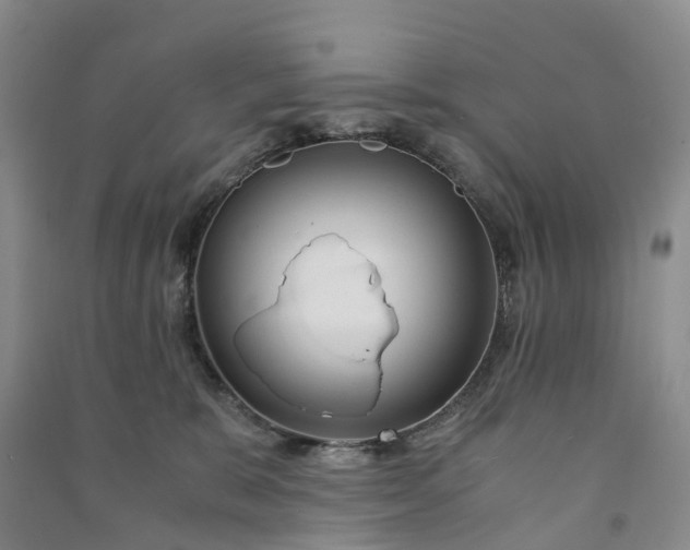 X0000090960327200708161821