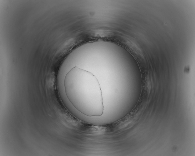 X0000090960328200708161821