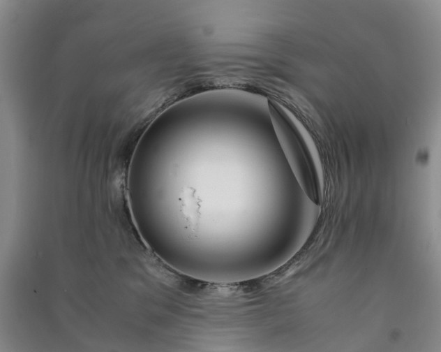 X0000090960329200708161821