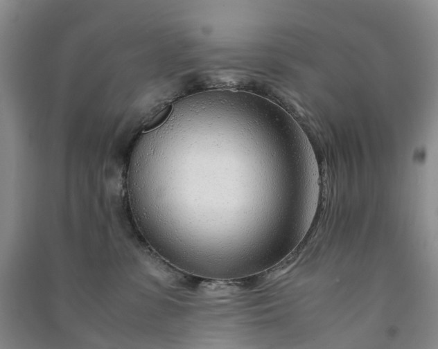 X0000090960331200708161820