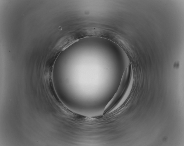 X0000090960333200708161820