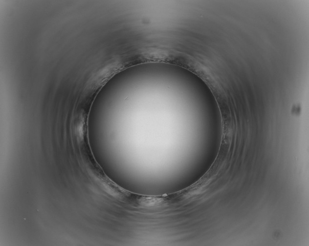 X0000090960334200708161820