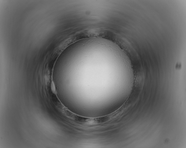 X0000090960335200708161820