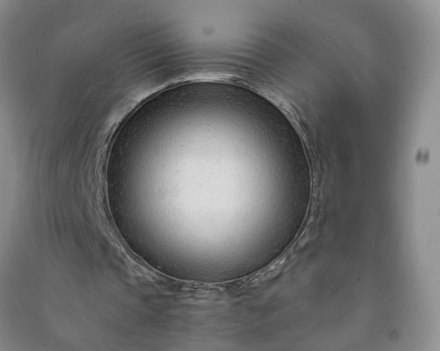 X0000090960337200708161820