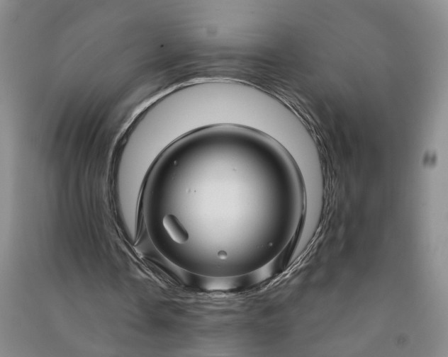 X0000090960338200708161820
