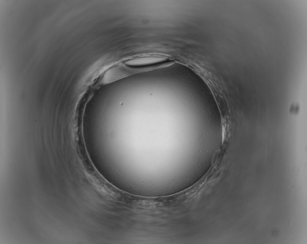 X0000090960339200708161820