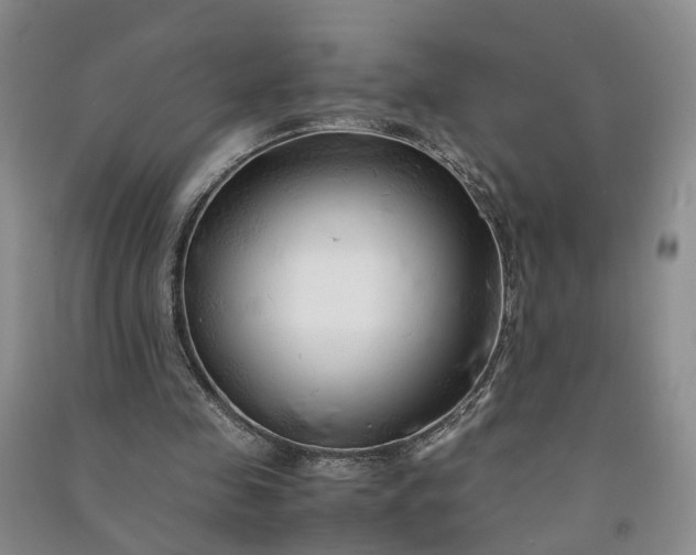 X0000090960341200708161820