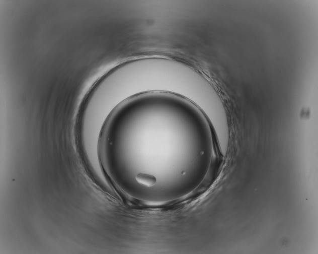 X0000090960342200708161820