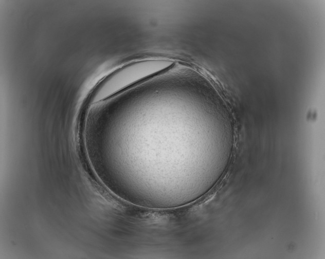 X0000090960343200708161820