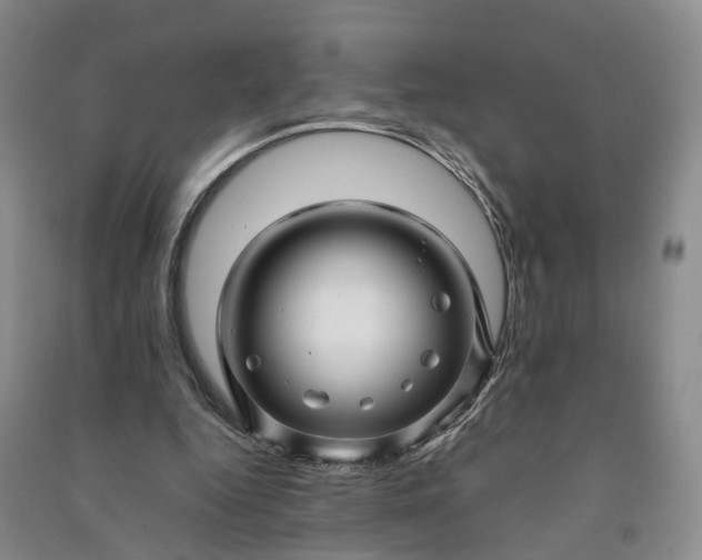X0000090960344200708161820