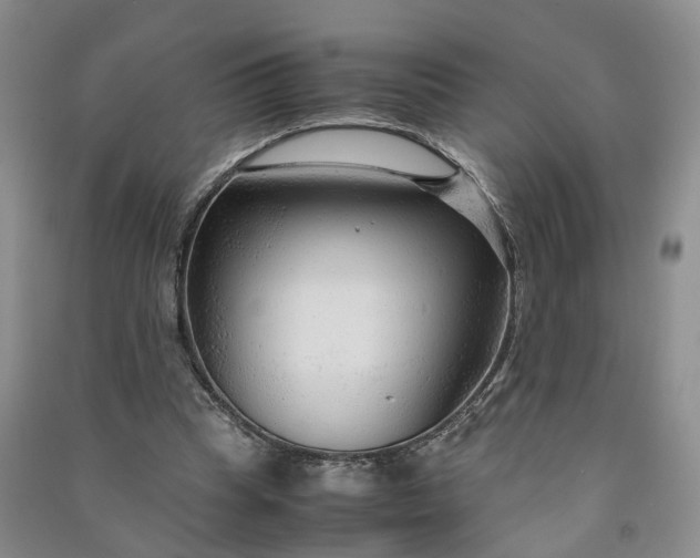 X0000090960345200708161820