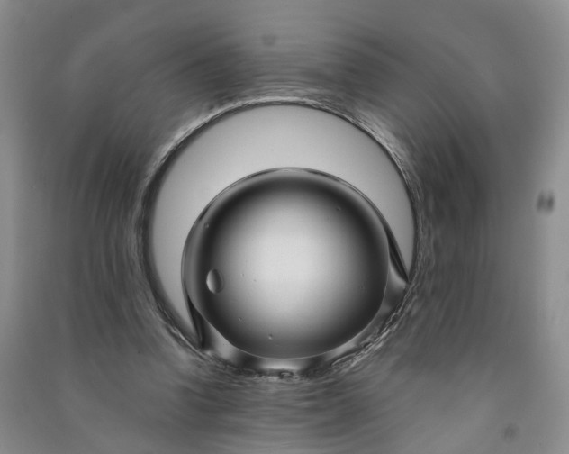 X0000090960346200708161820