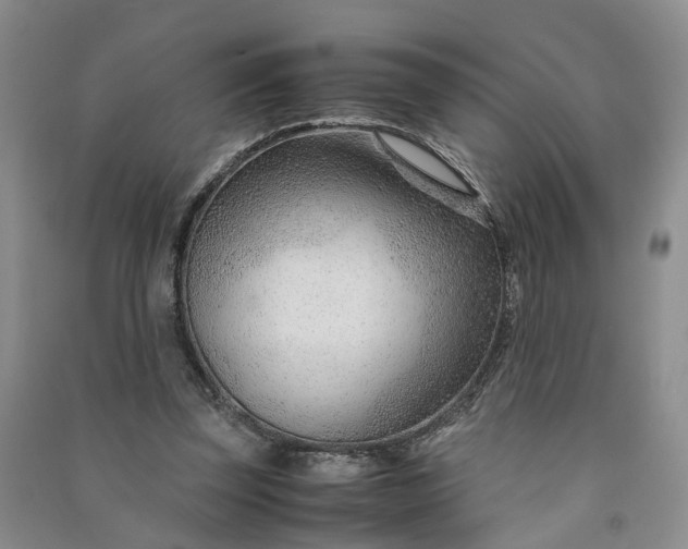 X0000090960347200708161820