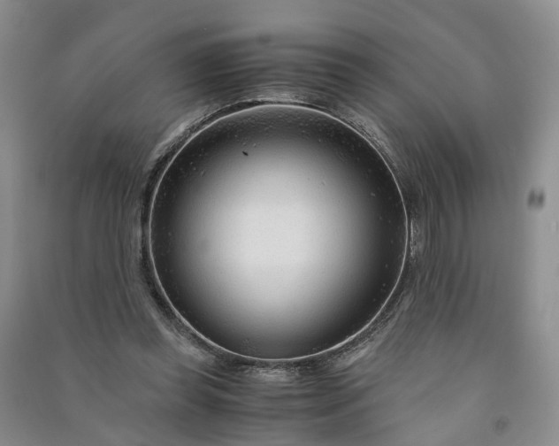 X0000090960349200708161820