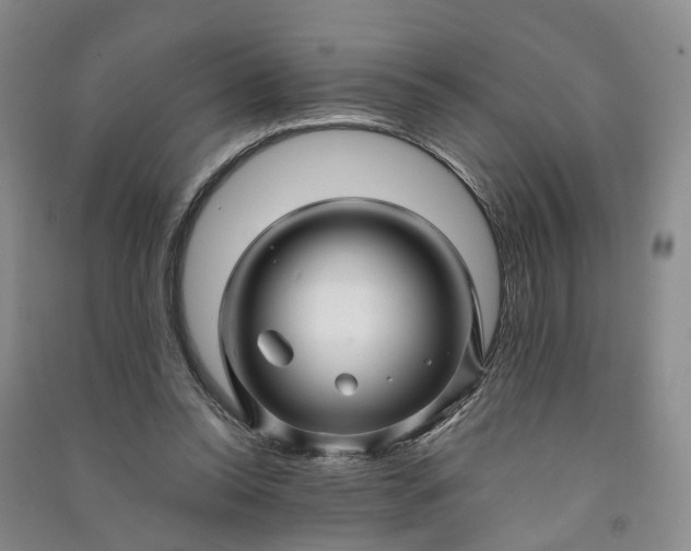 X0000090960350200708161820