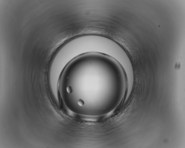 X0000090960352200708161820