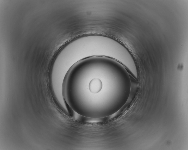 X0000090960354200708161820