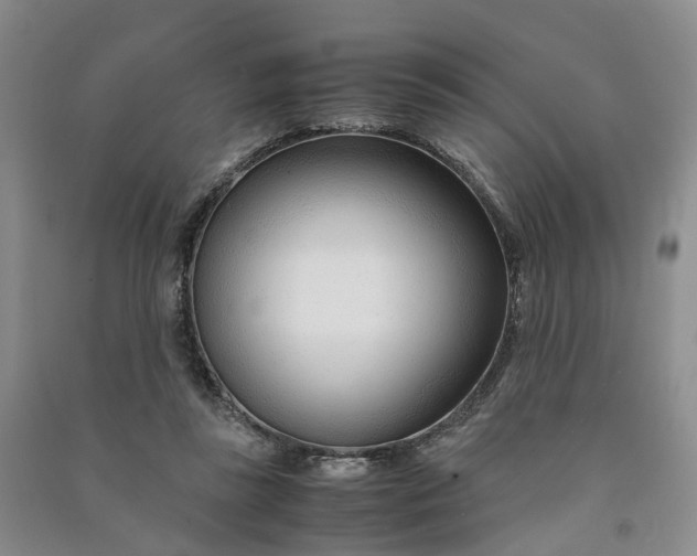 X0000090960355200708161820