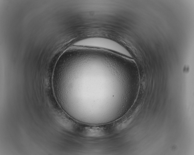 X0000090960359200708161820