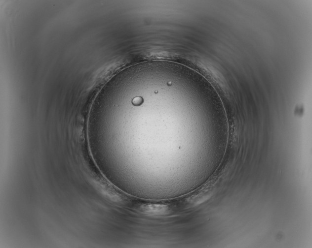 X0000090960361200708161820