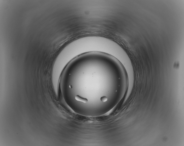 X0000090960364200708161820