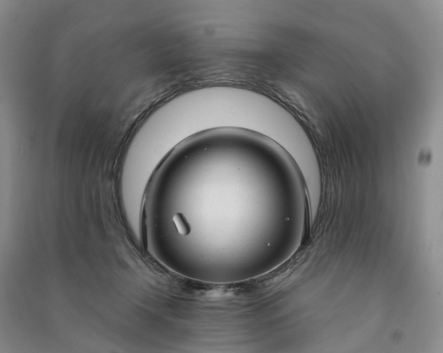 X0000090960366200708161820