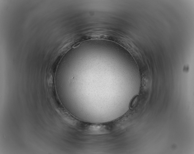 X0000090960375200708161820