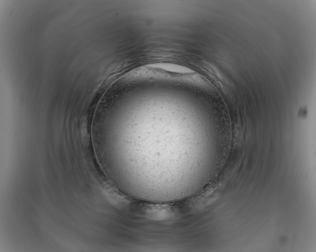 X0000090960377200708161820