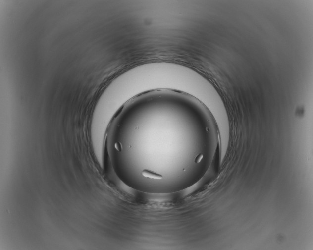 X0000090960378200708161820