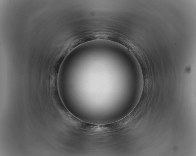 X0000090960379200708161820