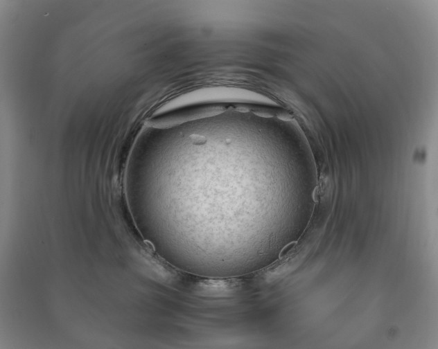 X0000090960381200708161820