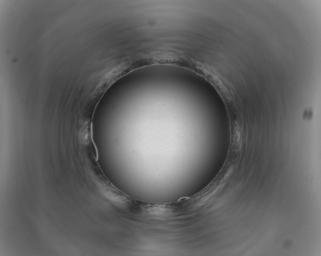 X0000090960383200708161820