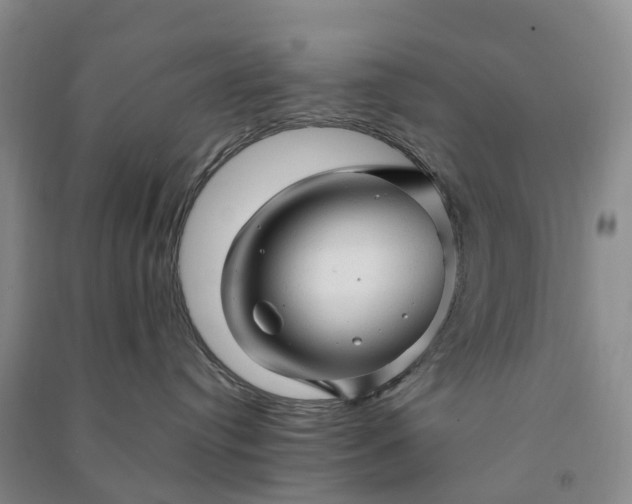 X0000090960384200708161820