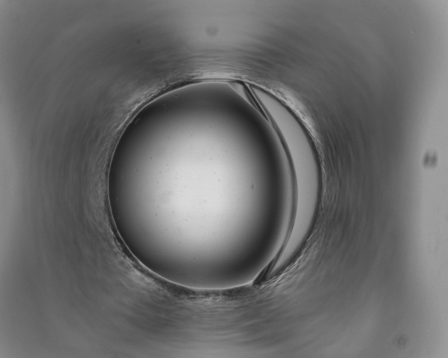 X0000090960385200708161820