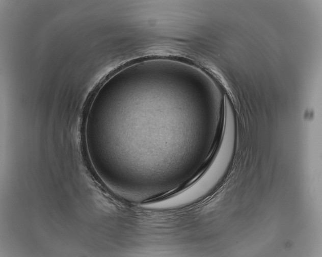 X0000090960387200708161820