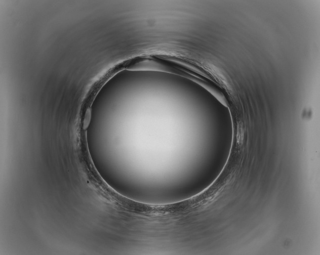 X0000090960388200708161820