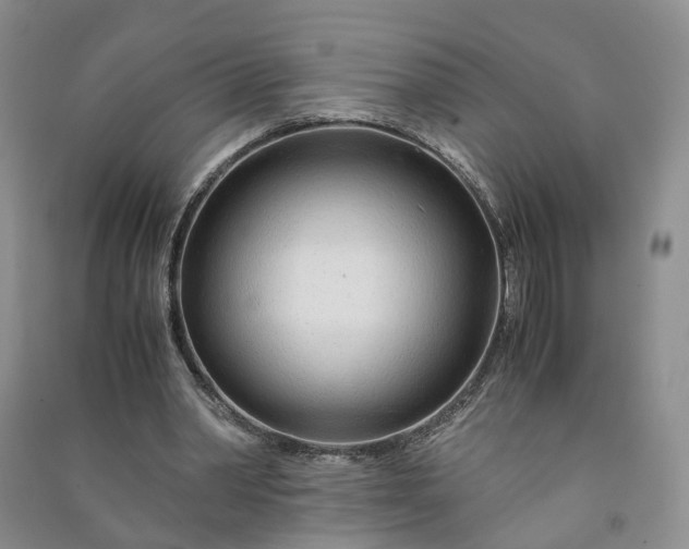 X0000090960390200708161820