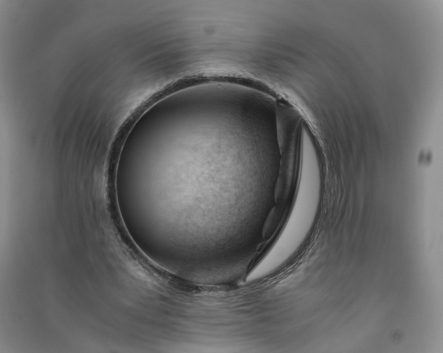 X0000090960391200708161820