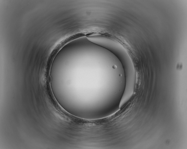 X0000090960392200708161820
