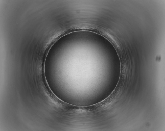 X0000090960394200708161820