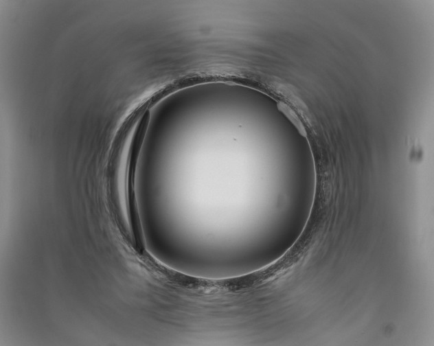 X0000090960395200708161820