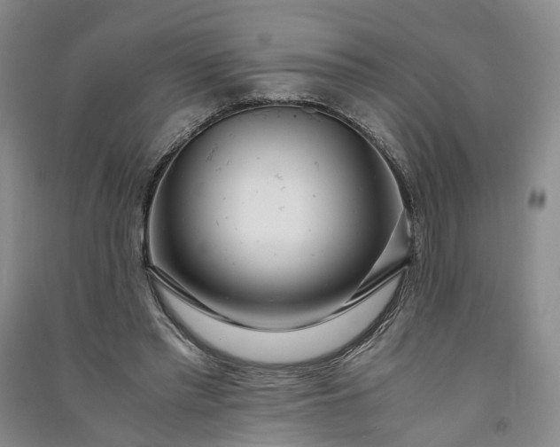 X0000090960397200708161819