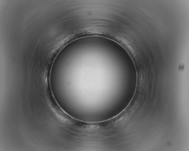 X0000090960398200708161819