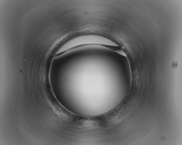 X0000090960400200708161819